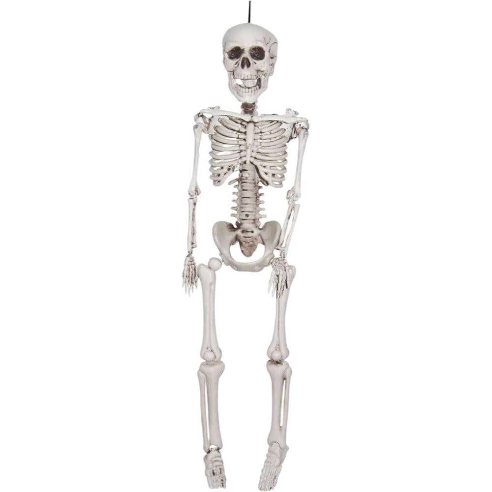 12' Plastic Realistic Skeleton