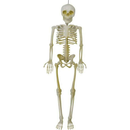 15.7' Hanging Skeleton