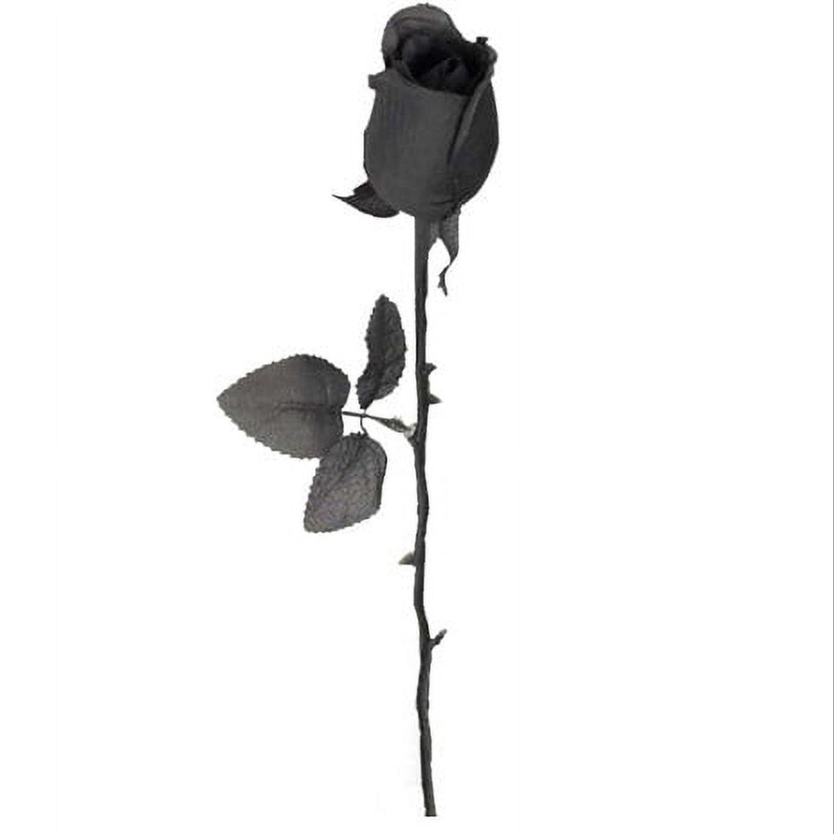 Black Rose