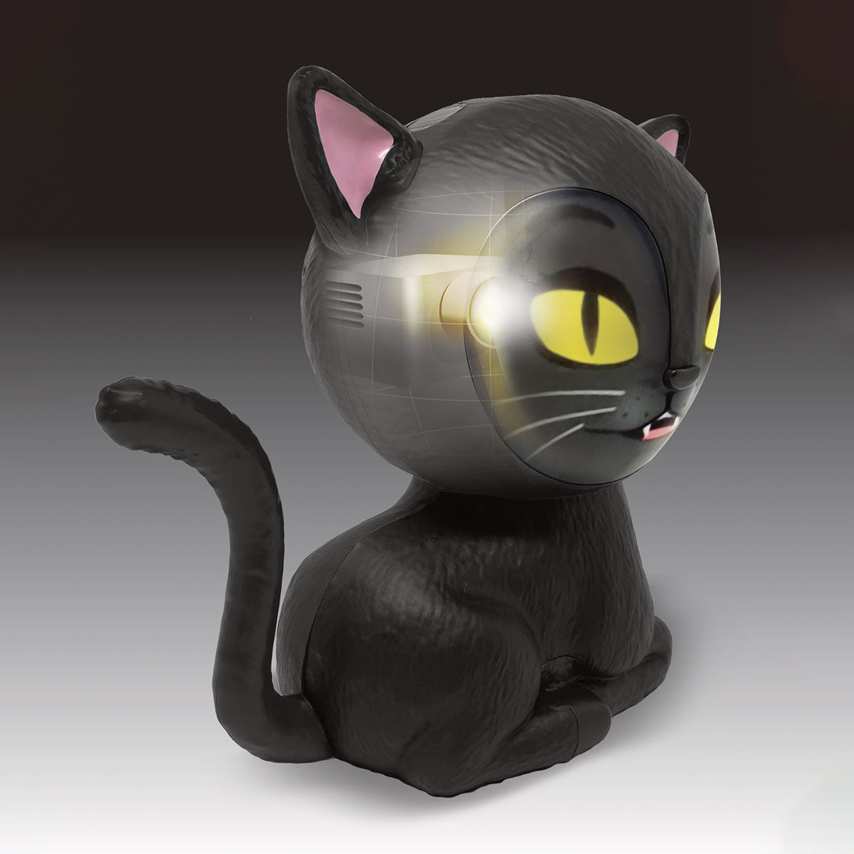 Animated Talking Halloween Cat