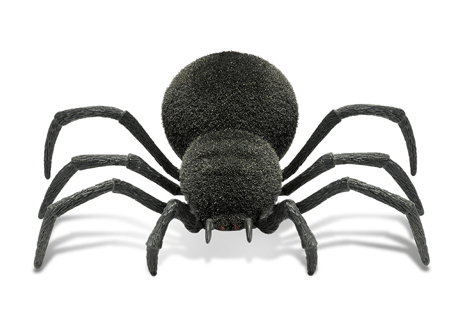 Spooky RC Spider - primary product image