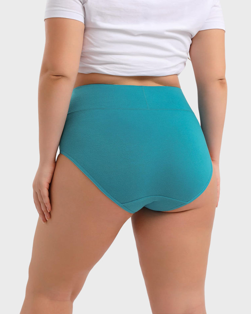 🔥Limited Time 70% Off✨Full-Figured High-Waisted Comfort Underwear 4-Pack