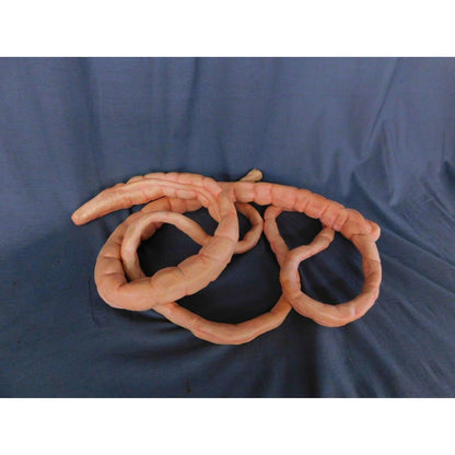 8' Realistic Flex Intestines Prop