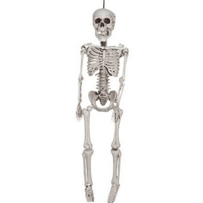 36” Plastic Skeleton