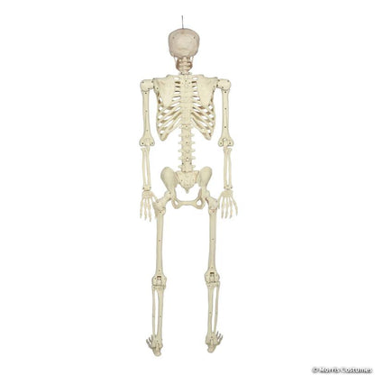 60" POSE-N-STAY Skeleton Decoration | Haunted House Prop NYC | Halloween Prop Store
