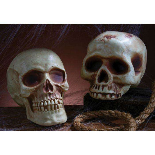 8'Aged Skull Prop