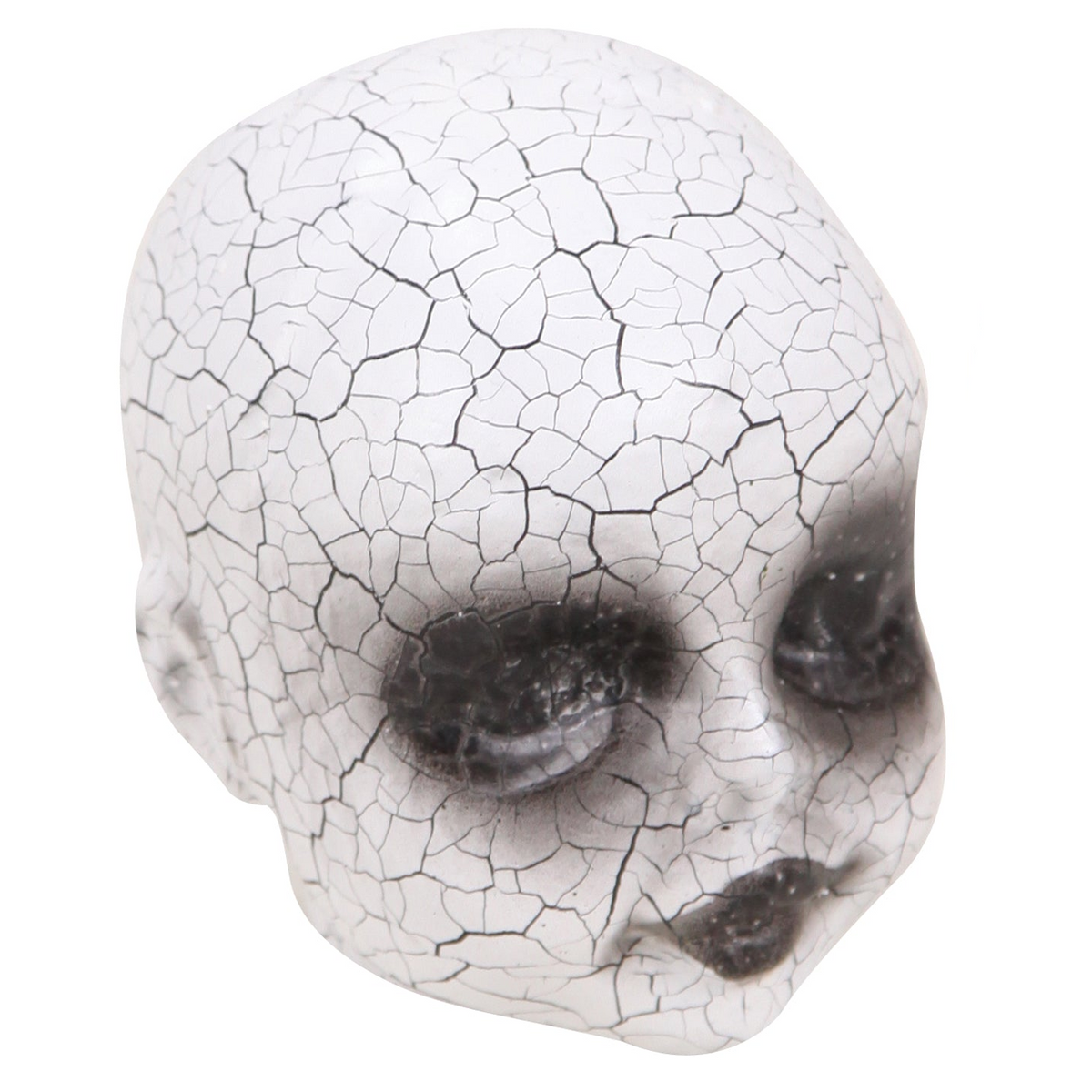 Creepy Cracked Doll Head