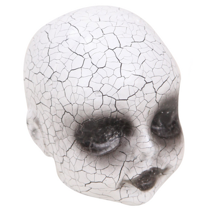 Creepy Cracked Doll Head