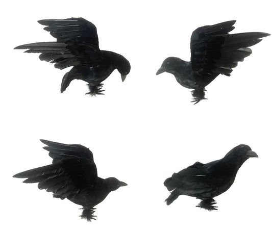 Crow Prop