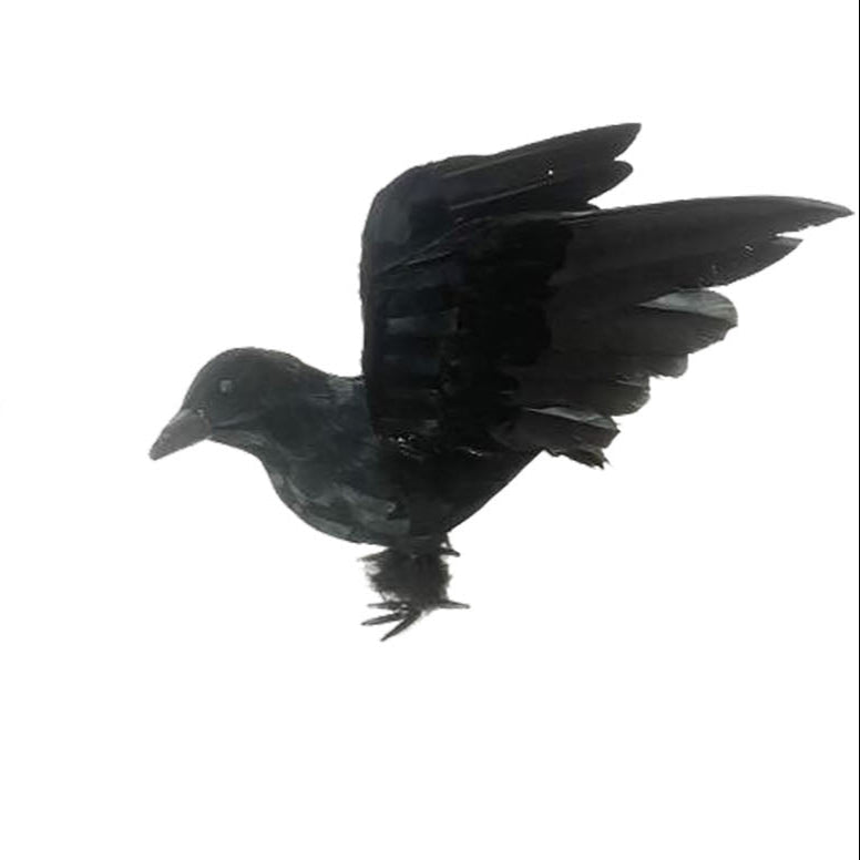 Crow Prop
