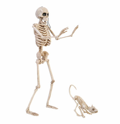 14' Skeleton Walker and Pet Assortment