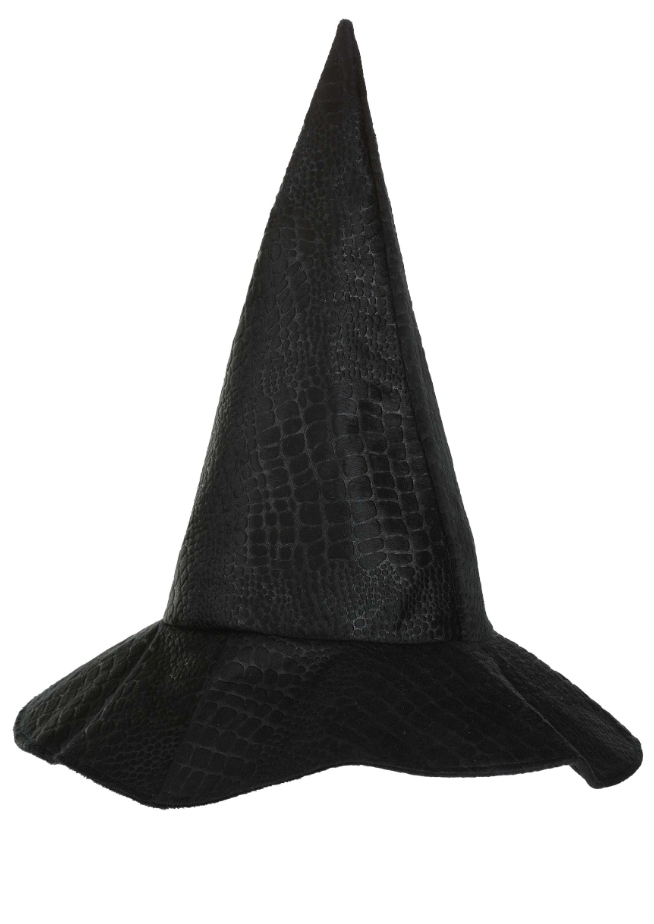Elphaba Witch Hat