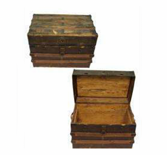 Aged Trunk