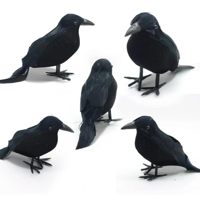 5' Black Crow Prop