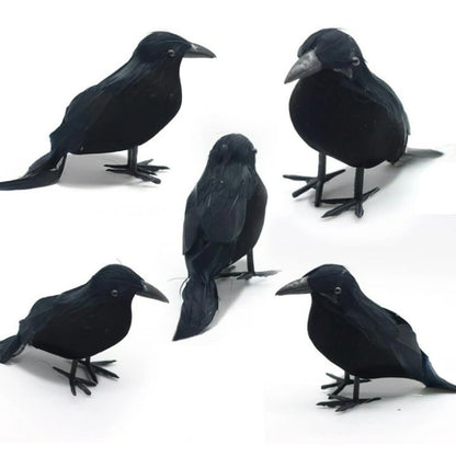 5' Black Crow Prop