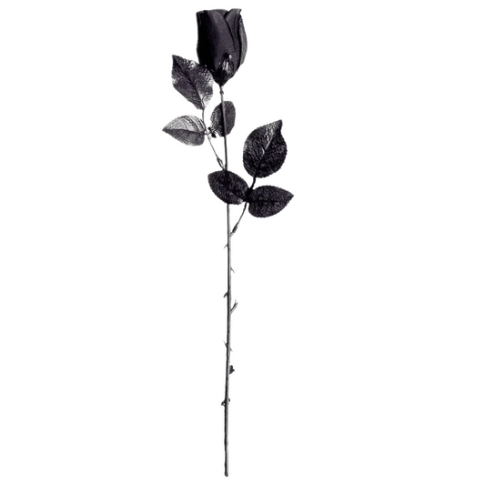 Grey Rose