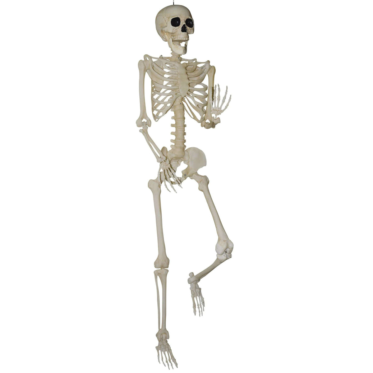 Titan Pose & Hold Skeleton Prop Decoration
