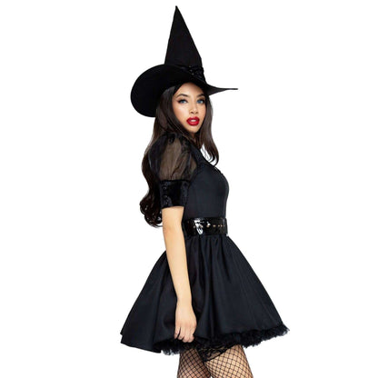 Bewitching Witch Dress Adult Costume