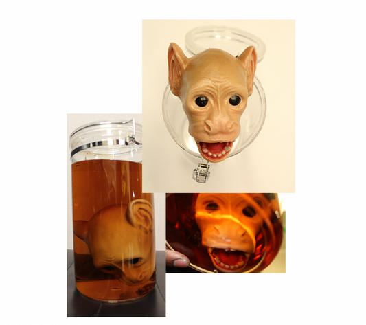 Monkey Specimen