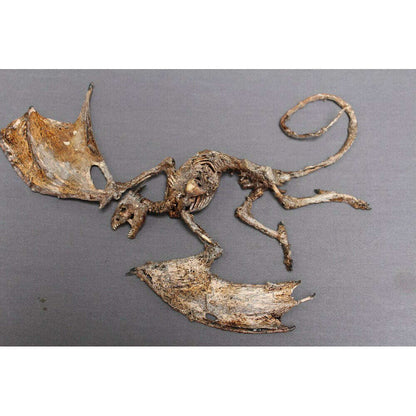 Mummified Baby Dragon Prop