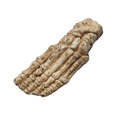 Realistic Bones