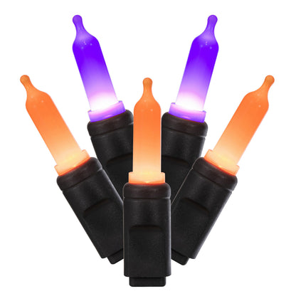 Vickerman 50 Count Halloween Orange and Purple LED Light Strand on Black Wire, Commercial Grade Light Strand, Halloween Decorations